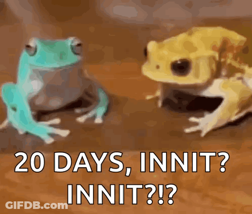 Two Frogs Are Sitting Next To Each Other With The Words 20 Days , Innit ? Innit ? On The Bottom . GIF