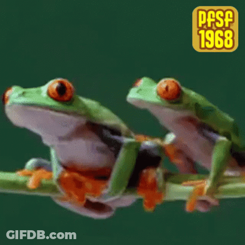 Two Frogs Are Sitting On A Branch With The Year 1968 GIF