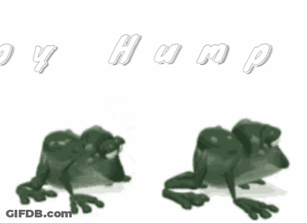 Two Frogs Are Standing Next To Each Other On A White Background With The Words Happy Hump Day GIF
