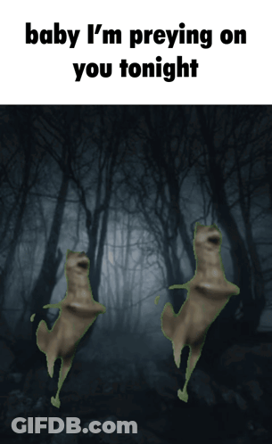 Two Frogs Dancing In Dark Forest Saying Baby I'm Preying On You Tonight GIF
