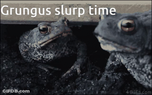 Two Frogs Grungus Slurp Time GIF