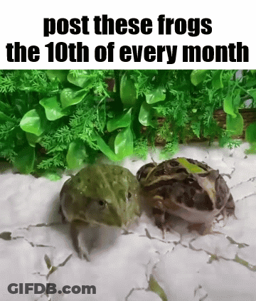 Two Frogs Sitting On Rock GIF