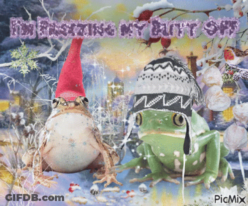 Two Frogs Wearing Knitted Hats Saying Frosting My Butt Off GIF