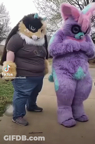 Two Furry Costumes On Sidewalk TikTok GIF
