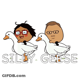 Two Geese Cartoon Saying Silly Geese GIF