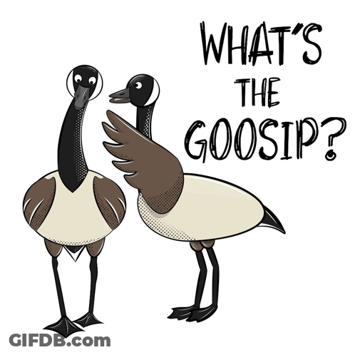 Two Geese Saying What's The Gossip GIF