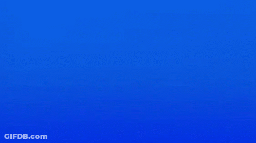 Two Giraffes Here It Comes GIF