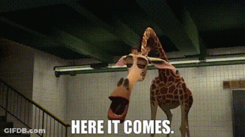 Two Giraffes Together Saying Here It Comes GIF