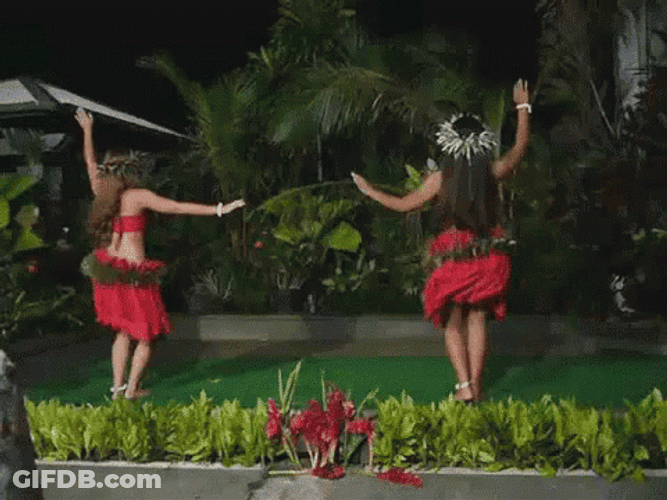 Two Girls Doing Hawaiian Dance GIF