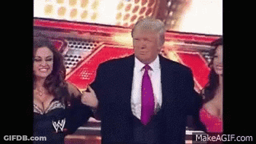 Two Girls Grab By Trump Wwe GIF