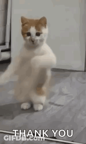 Two Girls Today Is July 31St 2021 GIF