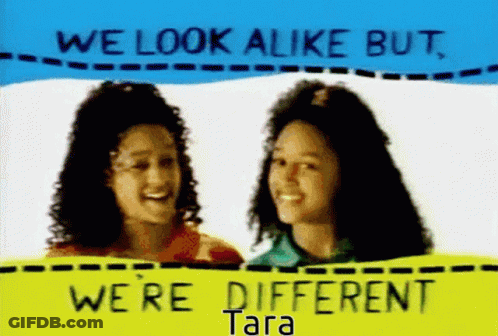 Two Girls We Look Alike But We Are Different Tara GIF