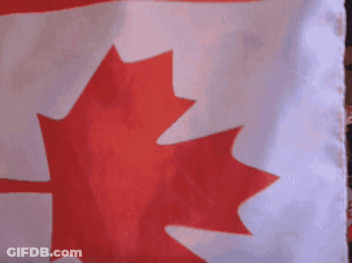 Two Girls Wearing Red Cowboy Hats And Holding Canadian Flags GIF