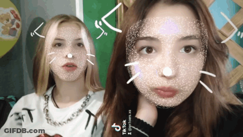 Two Girls With Cat Faces GIF