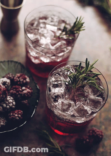 Two Glasses With Ice And Rosemary GIF
