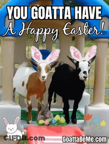 Two Goats Wearing Bunny Ears Are Standing In Front Of A Playhouse With Easter Eggs GIF