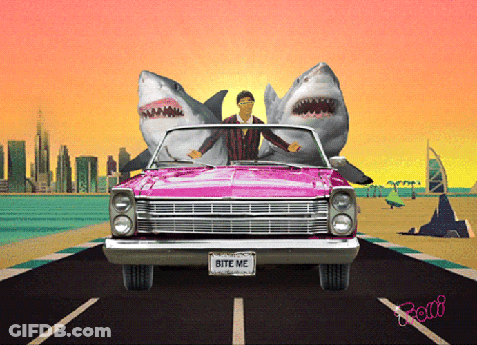 Two Goblin Shark In A Car Road Trip GIF