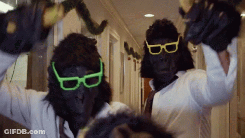 Two Gorillas Wearing Sunglasses Holding Bananas GIF