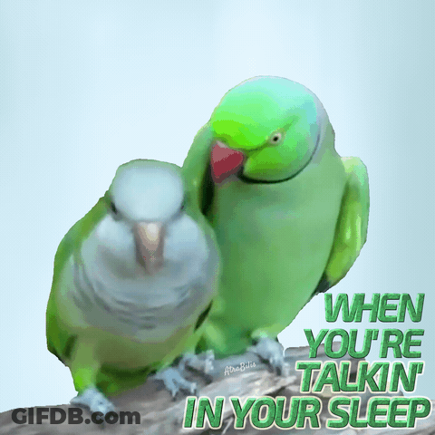 Two Green Birds Standing Next To Each Other With The Words " When You 'Re Talkin ' In Your Sleep " Below Them GIF