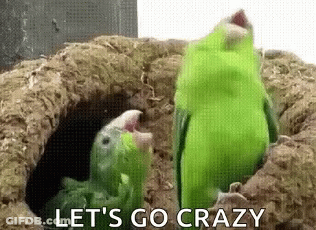 Two Green Parrots Are Standing Next To Each Other In A Hole . GIF