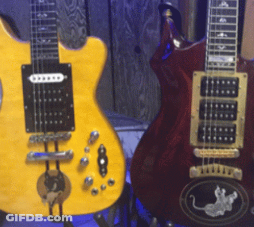 Two Guitars Are Sitting Next To Each Other One Of Which Has A Mouse On The Back GIF