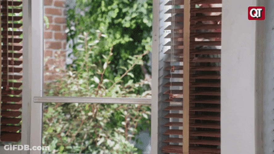 Two Guys Well Hello There GIF