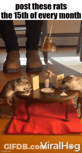 Two Hamsters Are Sitting At A Small Table With A Caption That Says Post These Rats The 15Th Of Every Month Viralhog GIF