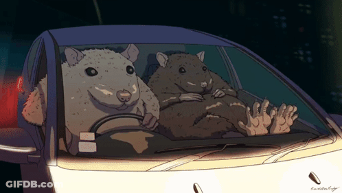 Two Hamsters Driving Car With A Plate GIF