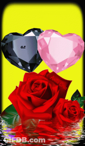 Two Hearts And Two Red Roses With Yellow Background GIF