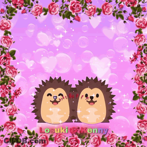 Two Hedgehogs Losuki And Kenny GIF