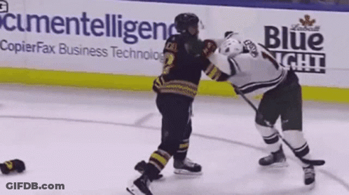 Two Hockey Players Fighting On Ice GIF