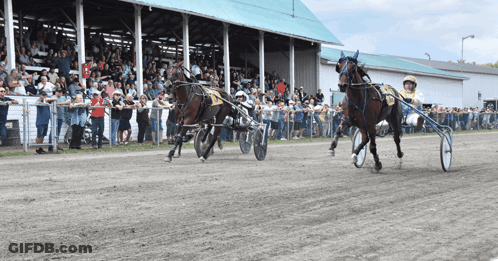 Two Horses Are Racing On A Track With A Crowd In The Background GIF