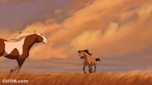 Two Horses Are Standing On Their Hind Legs In A Field With A Cloudy Sky In The Background GIF