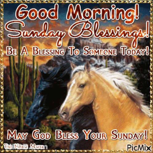 Two Horses Good Morning Sunday Blessings GIF