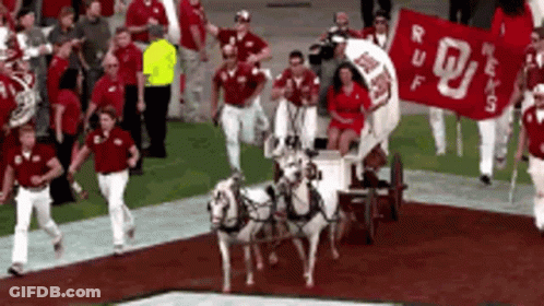 Two Horses Pulling A Wagon With A Banner That Says Ruff On It GIF