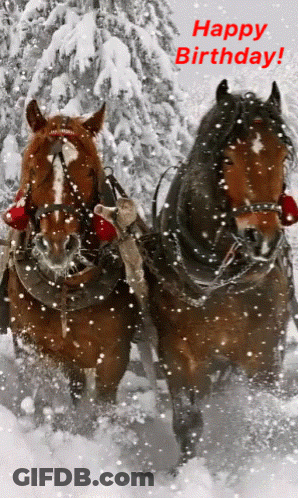 Two Horses Pulling Sleigh In Snow Happy Birthday GIF