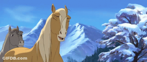 Two Horses Standing In Front Of Snowy Mountains GIF