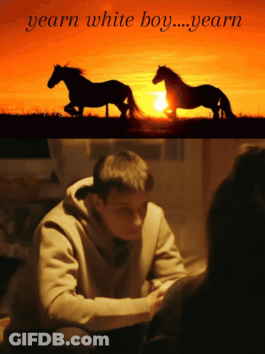 Two Horses Yearn White Boy GIF