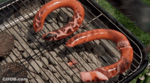 Two Horseshoe Shaped Sausages Are Cooking On A Barbecue Grill GIF