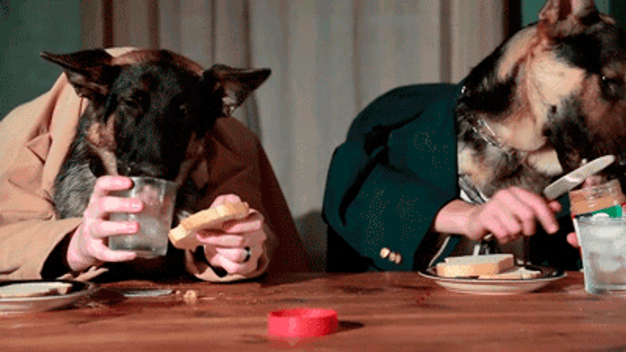 Two Human Dogs Eating Peanut Butter Sandwich GIF