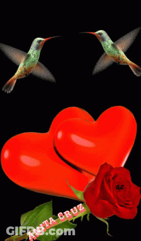 Two Hummingbirds Flying Over A Green Heart Next To A Red Rose GIF