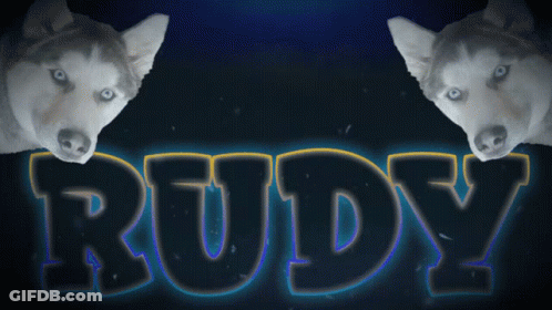 Two Husky Dogs Are Standing In Front Of A Sign That Says Rudy GIF