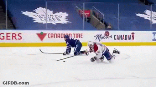 Two Ice Hockey Players Are Playing A Game On The Ice In Front Of A Canadian Tire Banner . GIF