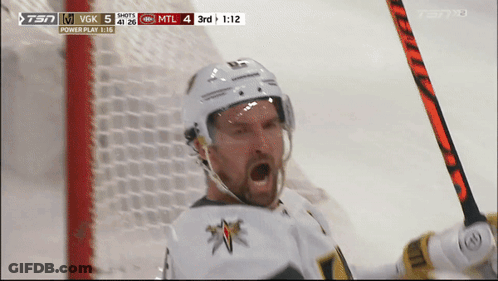 Two Ice Hockey Players Fighting One Number 9 GIF