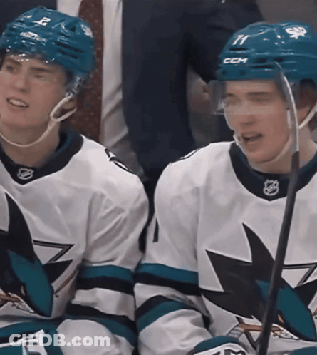 Two Ice Hockey Players With CCM Helmets GIF