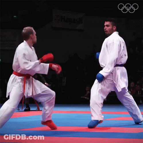 Two Karate Fighters Are Fighting On A Mat With A Sign That Says Hayati On It GIF