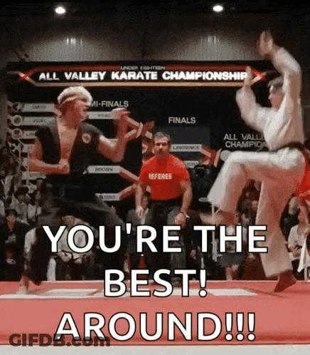 Two Karate Fighters Jumping You're The Best Around! GIF