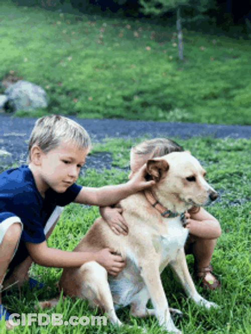 Two Kids Pet Dog Hug GIF