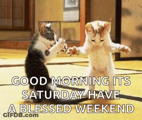 Two Kittens Are Dancing In A Room With The Words `` Good Morning Its Saturday Have A Blessed Weekend '' Above Them . GIF