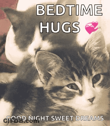 Two Kittens Are Hugging Each Other With The Words Bedtime Hugs Good Night Sweet Dreams GIF